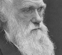 Credit: Leonard Darwin | Wikimedia Commons