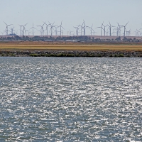 Sherman Island County Park, CA — Wind turbines along the hardscaped edges of the Sacramento-San Joaquin Delta. May 15, 2021. Tom Levy/The Spiritual Edge