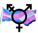 Trans gender flag and symbol. Image created by Kevin McCarthy, derived from photograph by flickr user torbakhopper. Original photo and this illiustration shared under CCBY